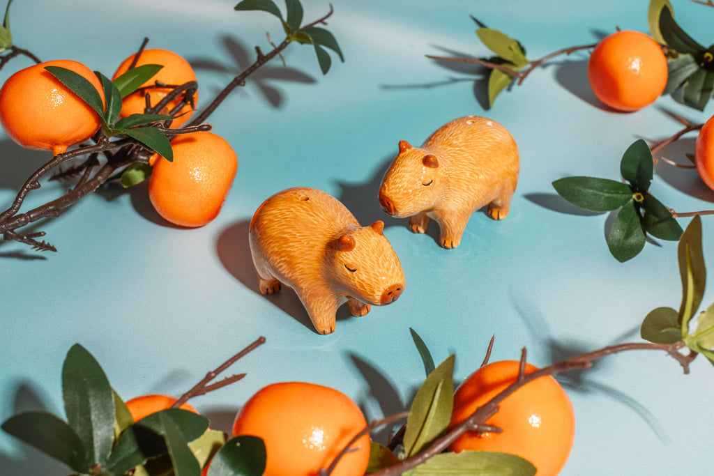 Capybara suola- ja pippurisirotin