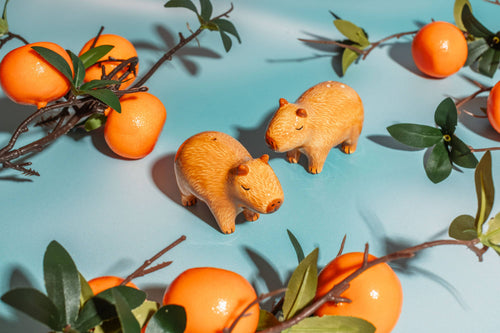 Capybara suola- ja pippurisirotin